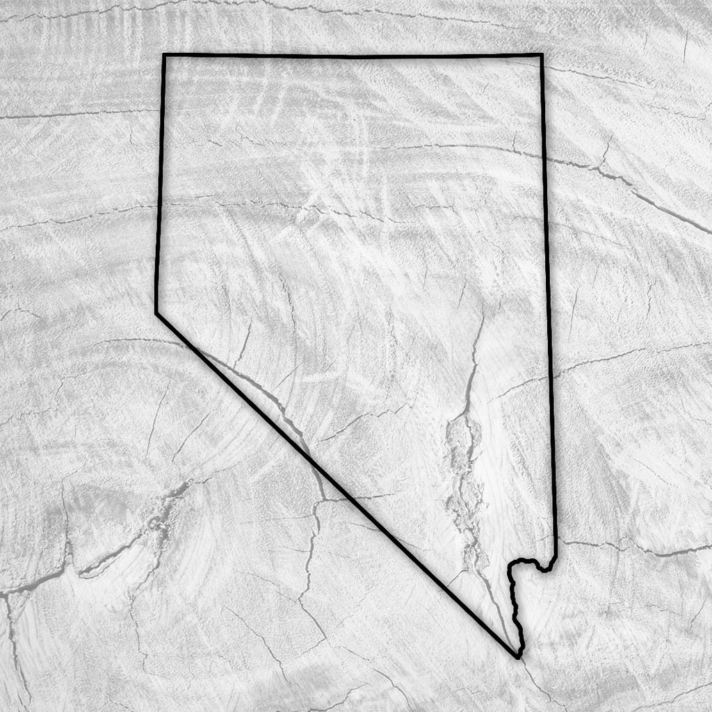 16.0x10.6" State Of Nevada Acrylic Router Template