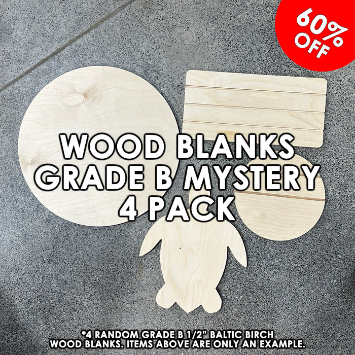 Grade B Wood Blanks - 4 Pack Of Random Pre-Cut Wood Shapes