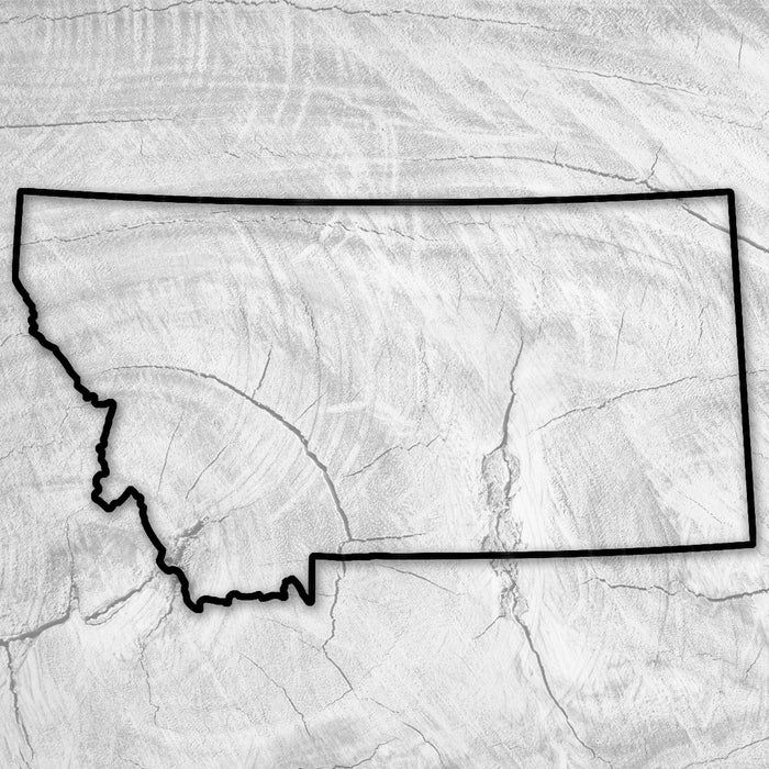 16.0x9.0" State Of Montana Acrylic Router Template